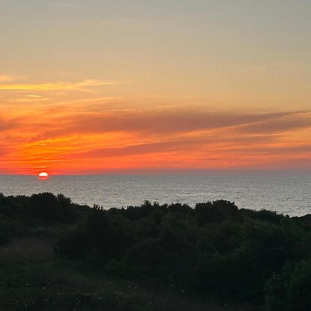 Apartment Puntamika Zadar Eksteriør bilde