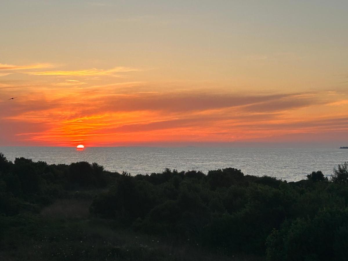 Apartment Puntamika Zadar Eksteriør bilde